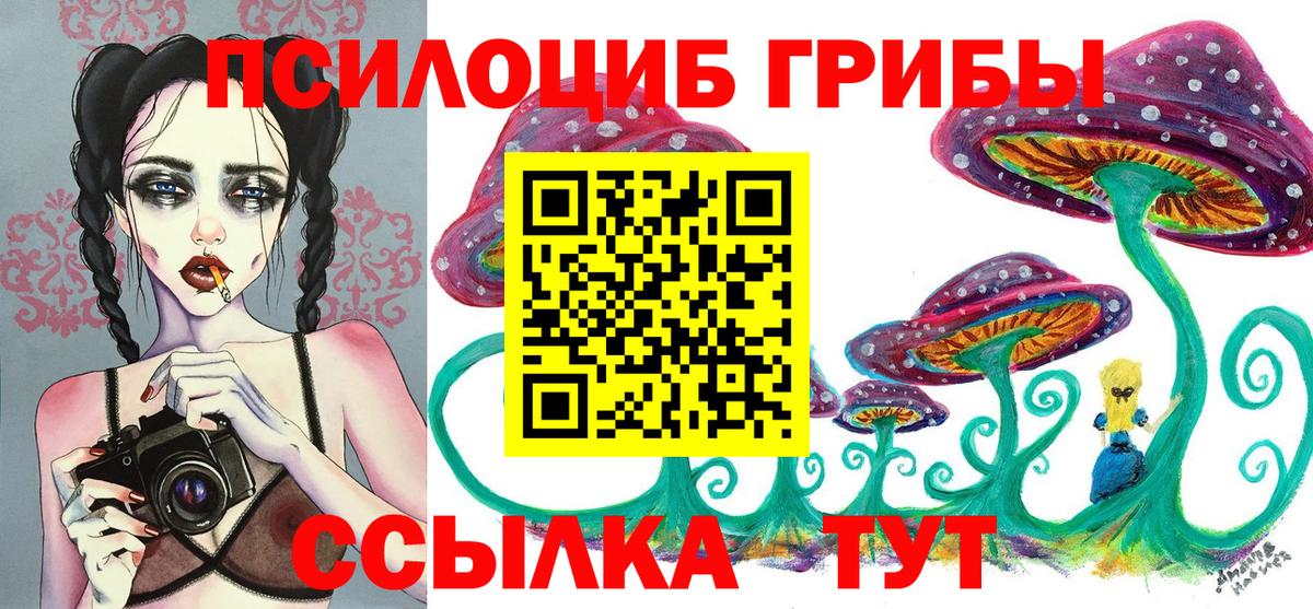 Новый Уренгой  Псилоцибиновые грибы Psilocybine cubensis  Вход с VPN  Псилоцибиновые грибы Psilocybe 